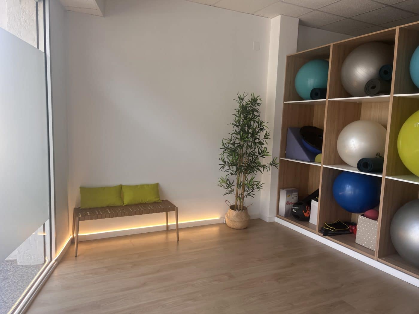 Espacio para ejercicio terapéutico con material de fisioterapia, pilates y rehabilitación.